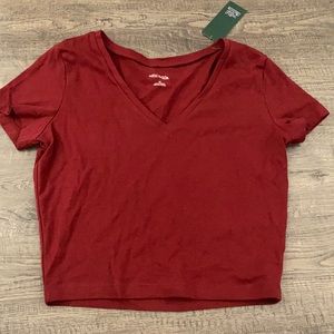 Wild fable crop top v-neck